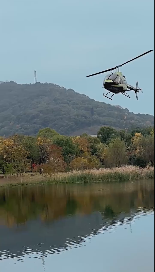 赌神之无双王者全集