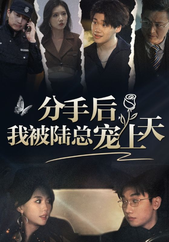 分手后，我被陆总宠上天全集
