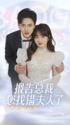 报告总裁您找错夫人了全集