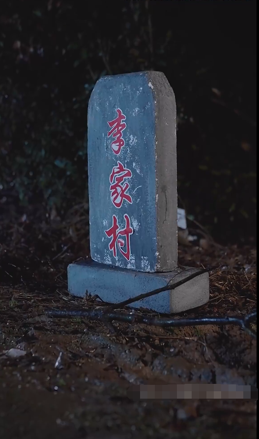 漫长的回家路全集