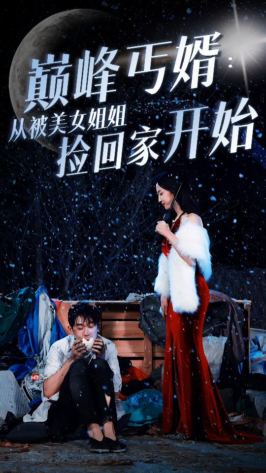 巅峰丐婿：从被美女姐姐捡回家开始全集