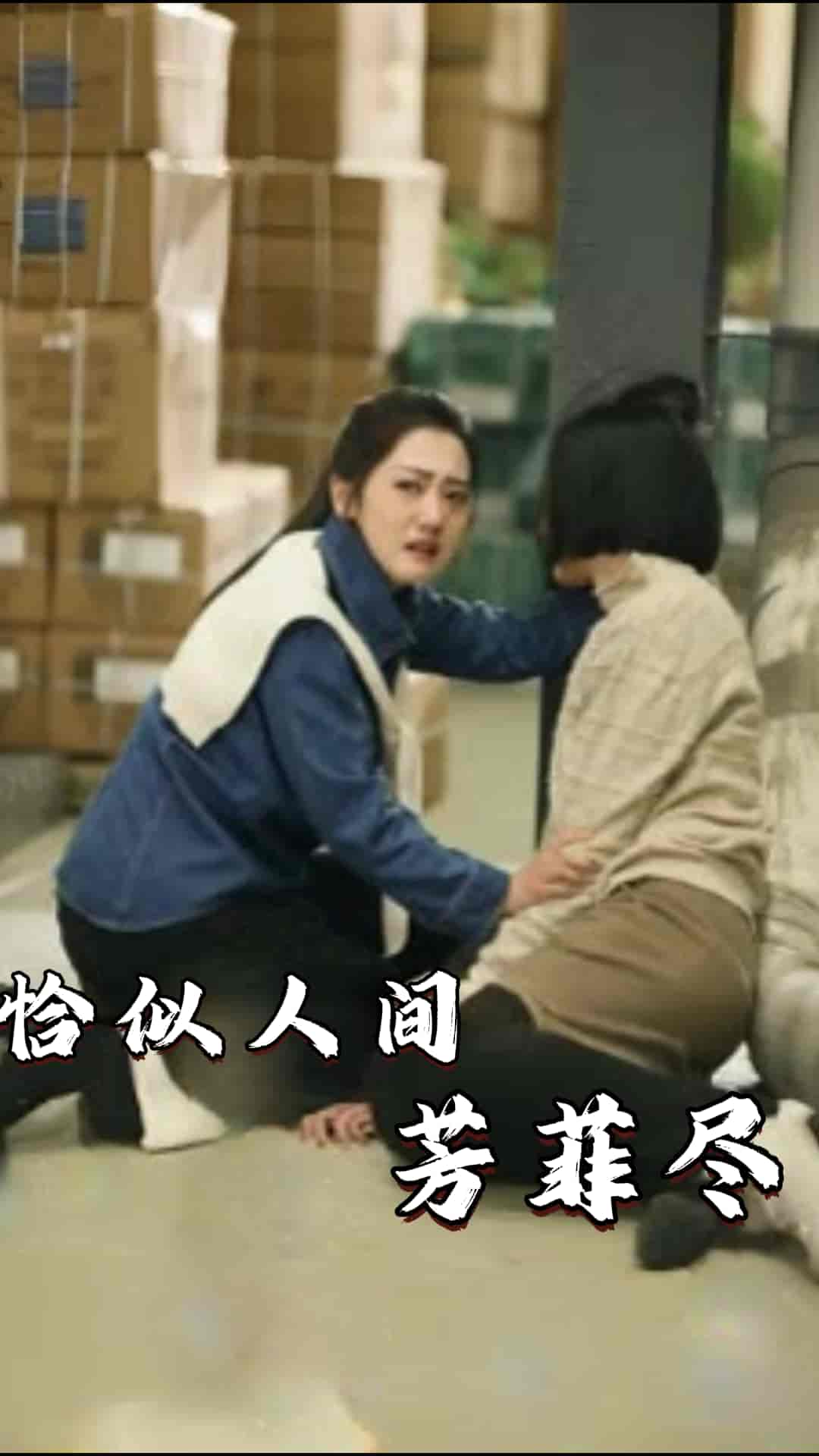 恰似人间芳菲尽全集