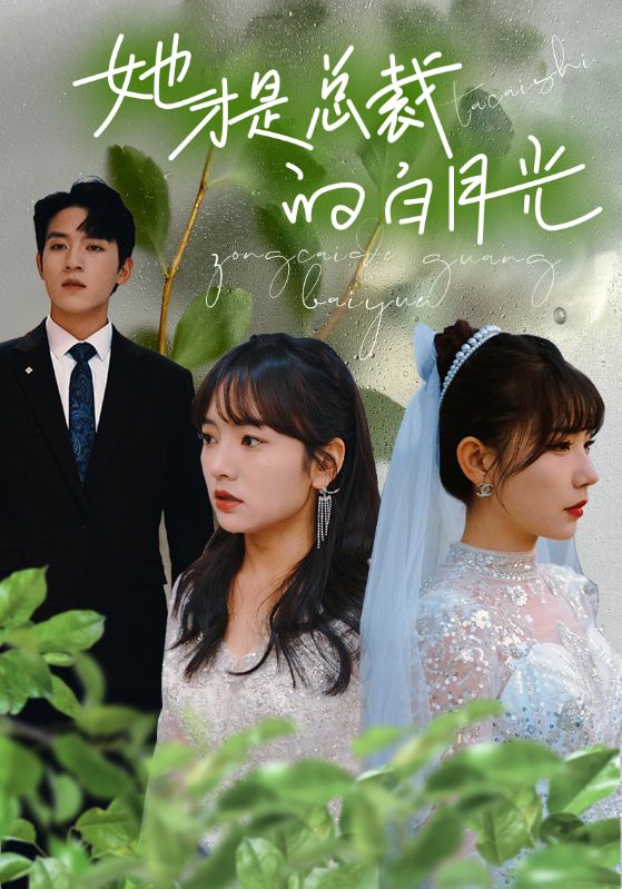 她才是总裁的白月光全集