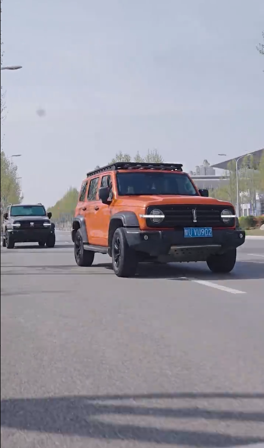 最新版：君临全集