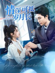 情深可抵岁月长全集