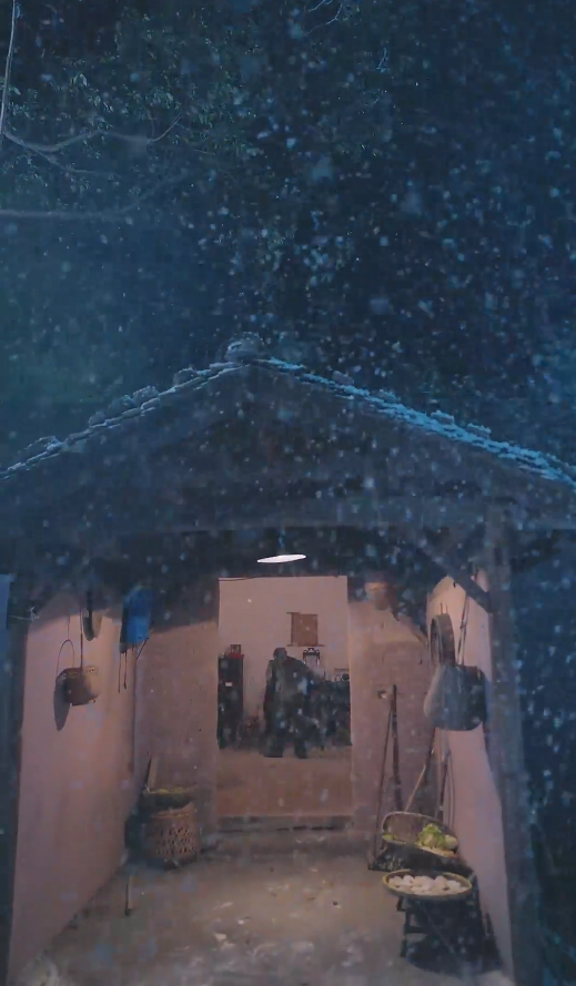 春雪落无声全集