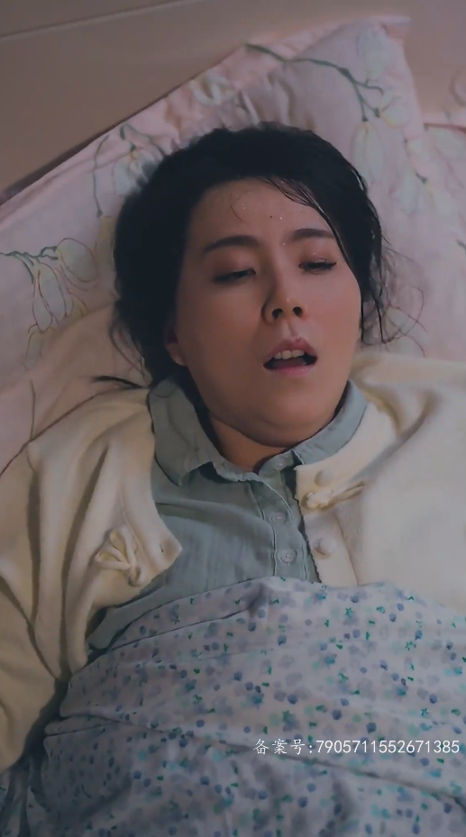 爱意随风起全集