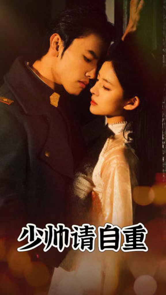 少帅请自重全集