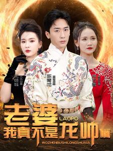 老婆我真不是龙帅啊全集