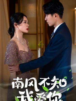 南风不知我爱你全集
