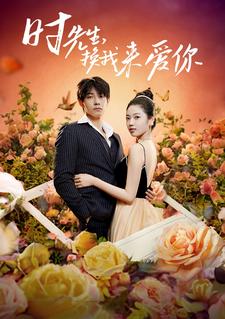 时先生，换我来爱你全集