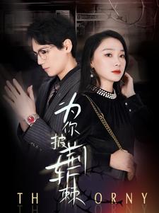 为你披荆斩棘全集