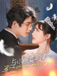 与你擦肩而过全集