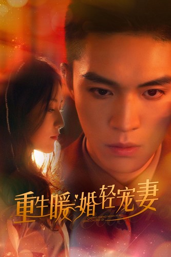 重生暖婚轻宠妻短剧全集
