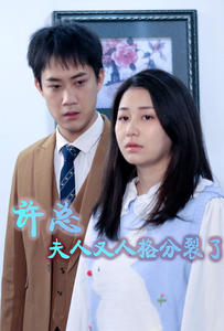 许总，夫人又人格分裂了全集