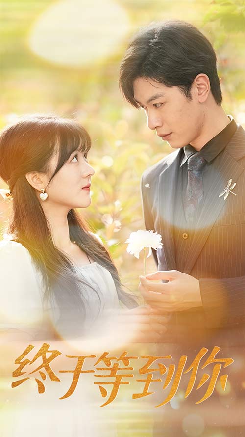 终于等到你全集