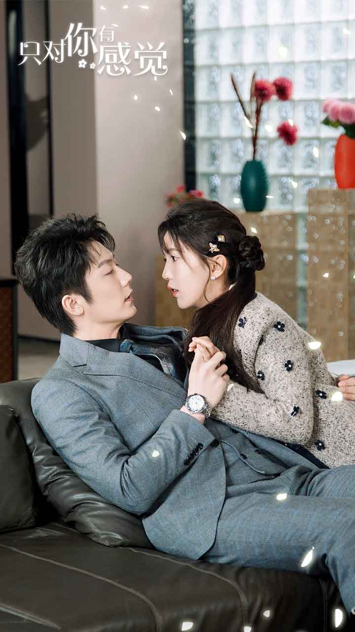 只对你有感觉全集