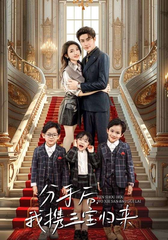 分手后，我携三宝归来全集