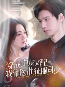穿成炮灰女配后我靠医术征服司少全集