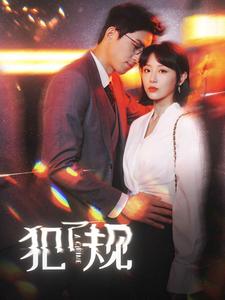 犯了规全集