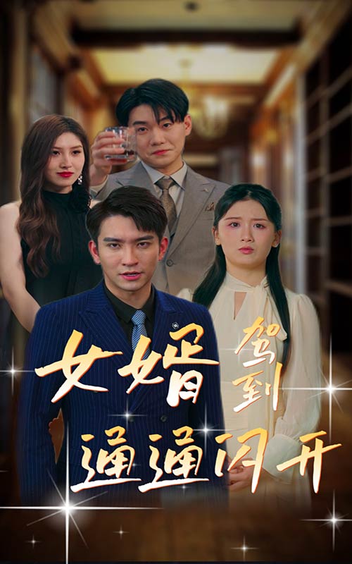 女婿驾到，通通闪开全集