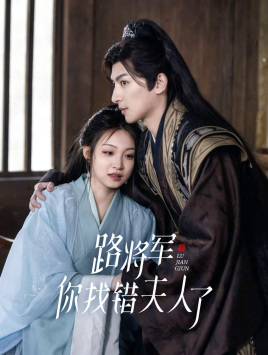 路将军，你找错夫人了全集