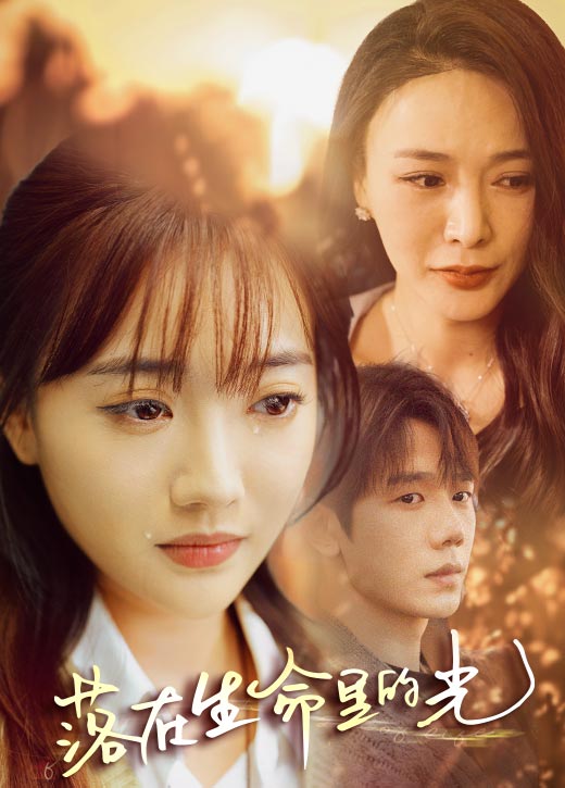 落在生命里的光全集