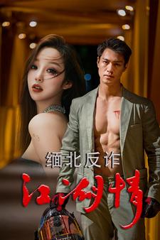 缅北反诈江湖情全集