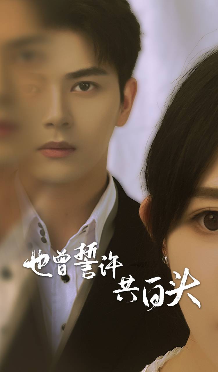 也曾誓许共白头全集