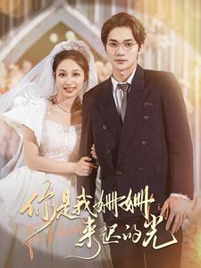 你是我姗姗来迟的光全集