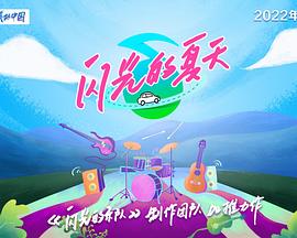 闪光的夏天全集