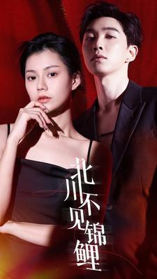 北川不见锦鲤全集