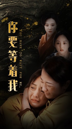 你要等着我全集