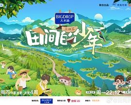 田间的少年第二季全集