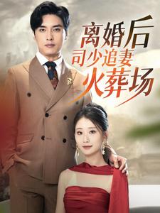 离婚后司少追妻火葬场全集
