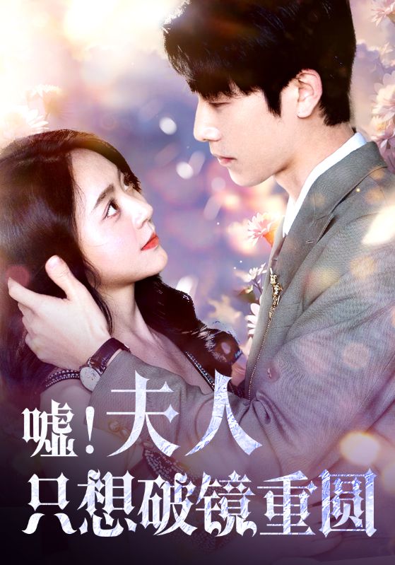 夫人只想破镜重圆全集