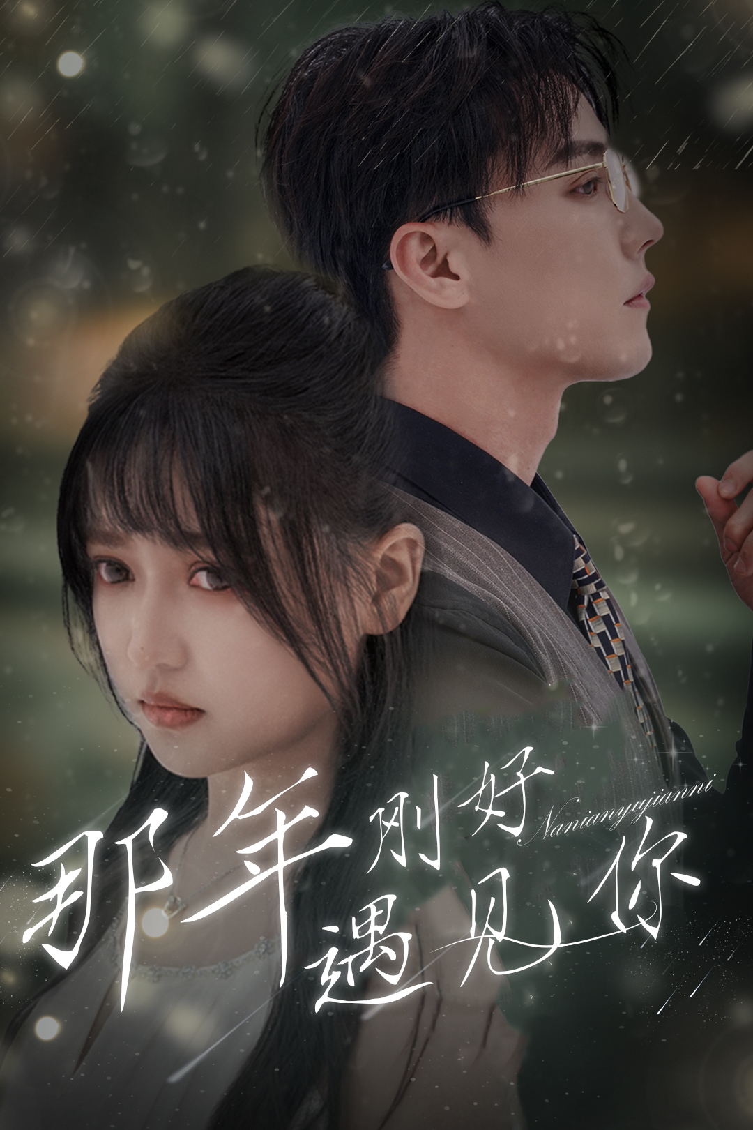 那年刚好遇见你全集