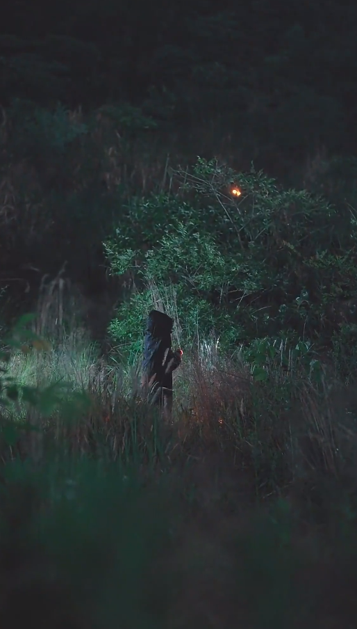 长风散尽终遇你全集