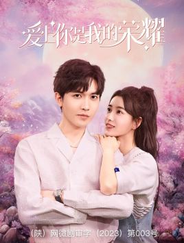 爱上你是我的荣耀全集