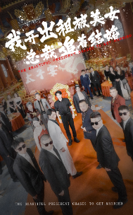 我开出租被美女总裁追着结婚全集