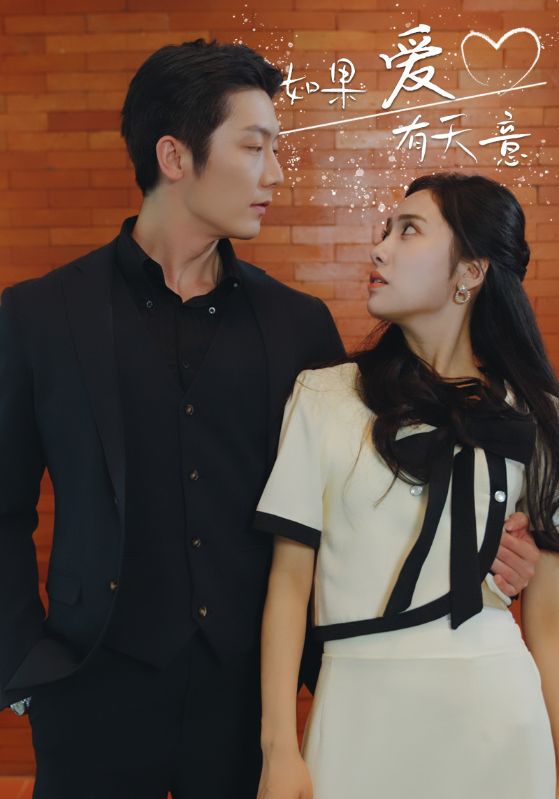 如果爱有天意全集