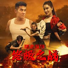 缅北反诈终极之战全集