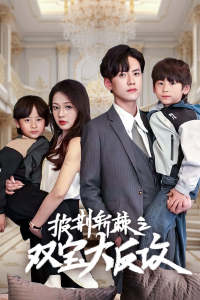 披荆斩棘之双宝大反攻全集