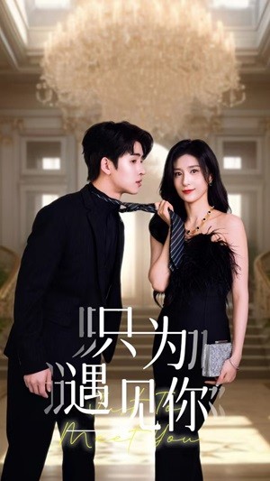 只为遇见你短剧全集
