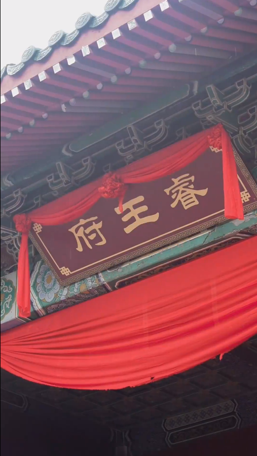 新：王妃她又美又飒全集