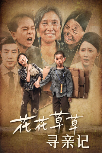 花花草草寻亲记全集