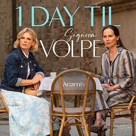 狐狸女士第二季全集