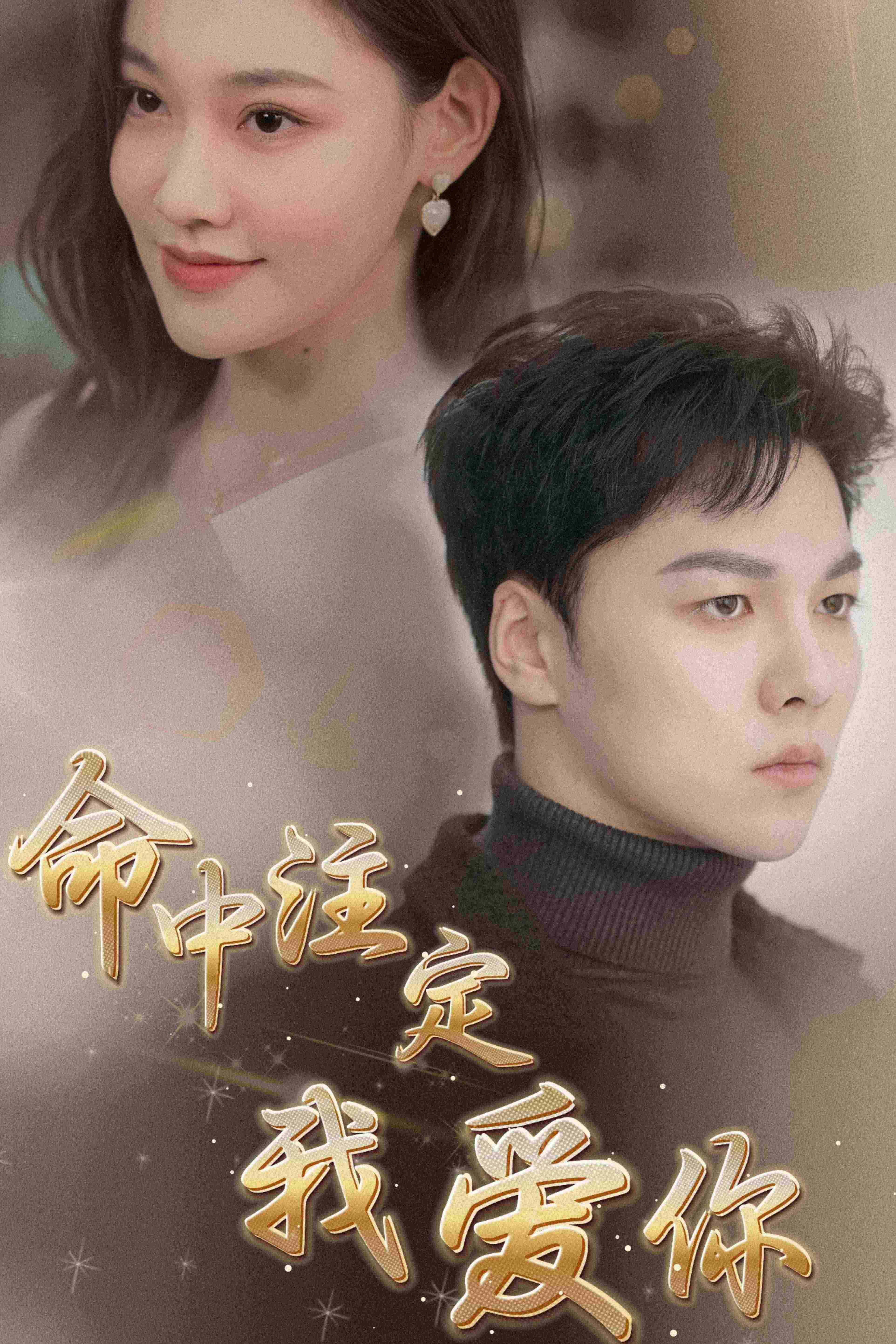 命中注定我爱你全集