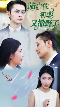 陆少的初恋又撒野了全集