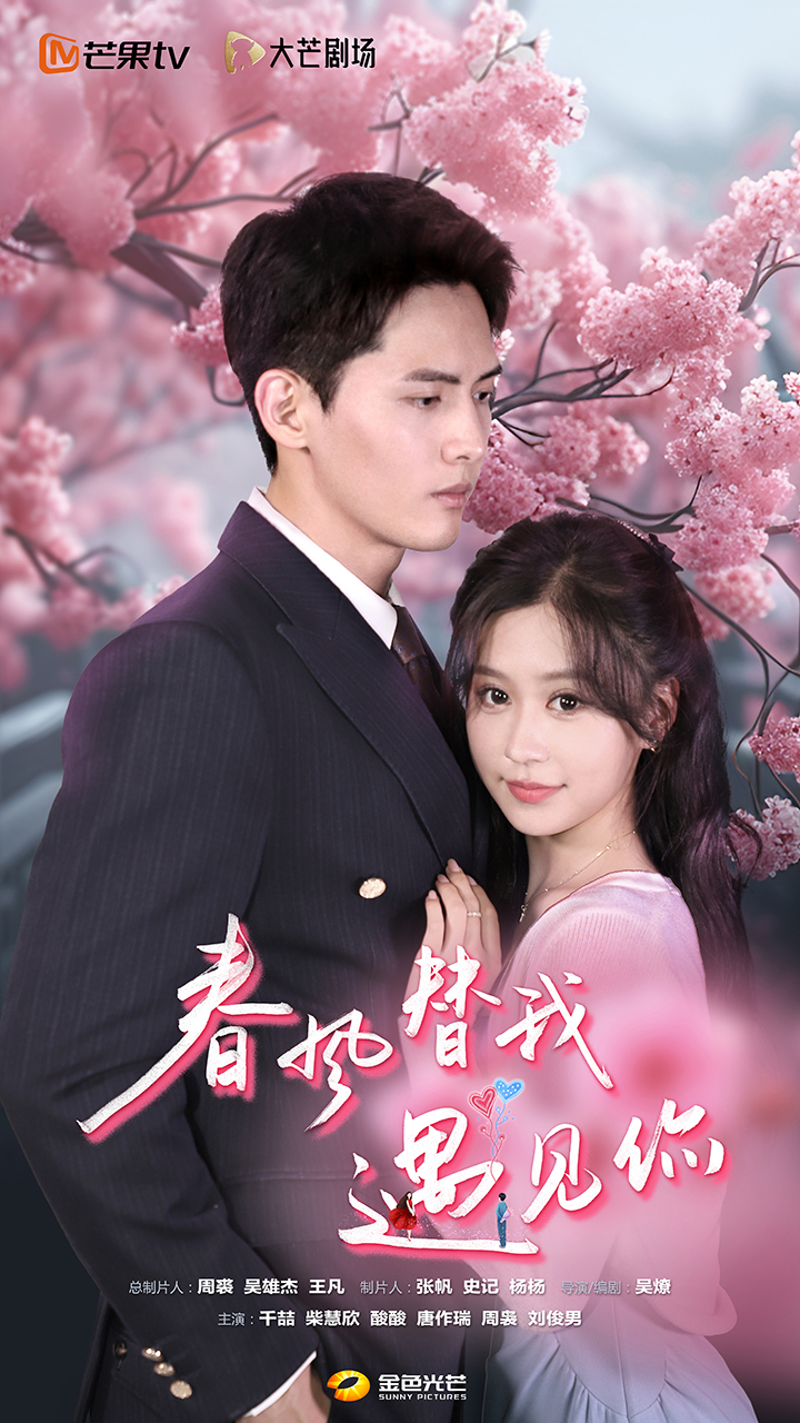 春风替我遇见你全集